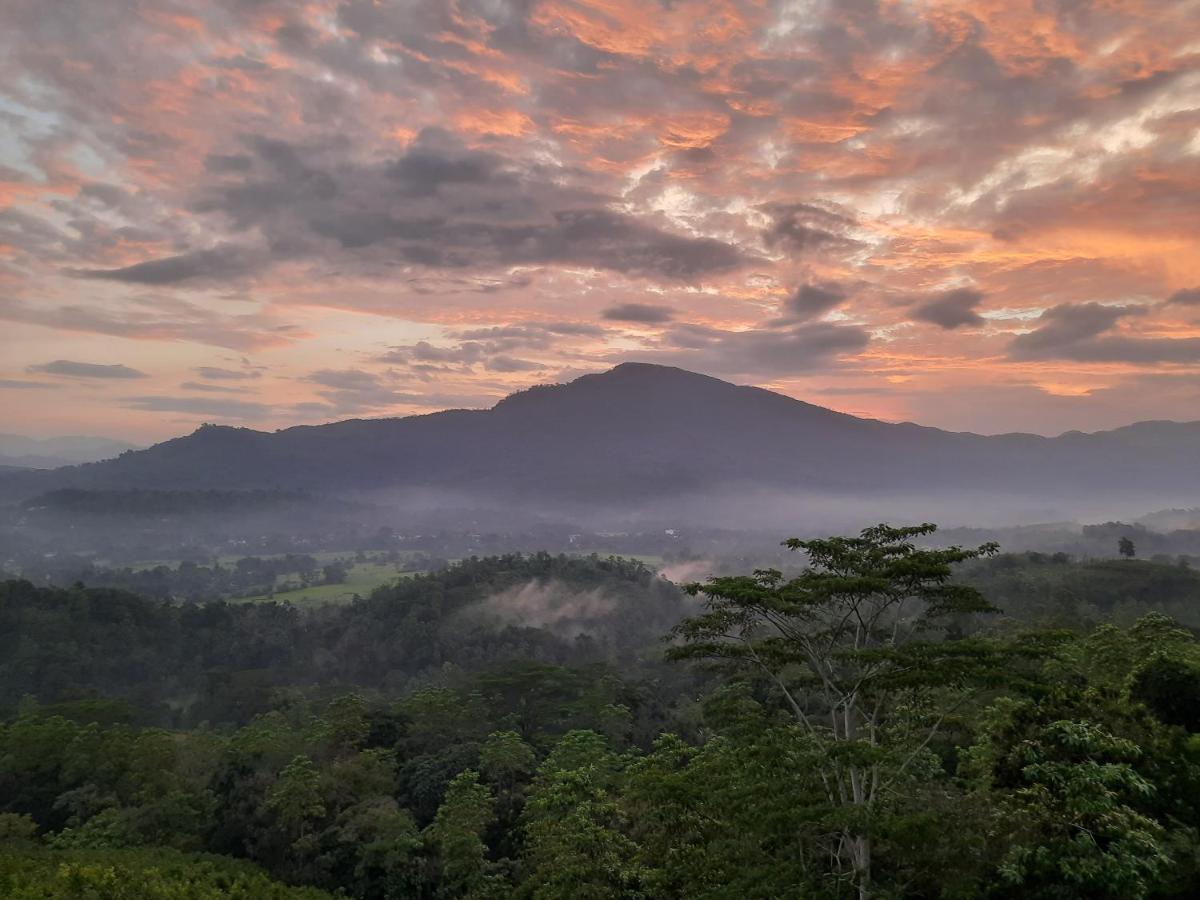 Terrace Cinnamon View Ratnapura Exterior foto